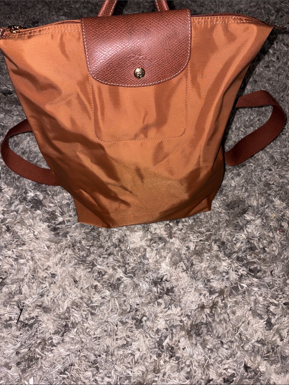 Longchamp backpack